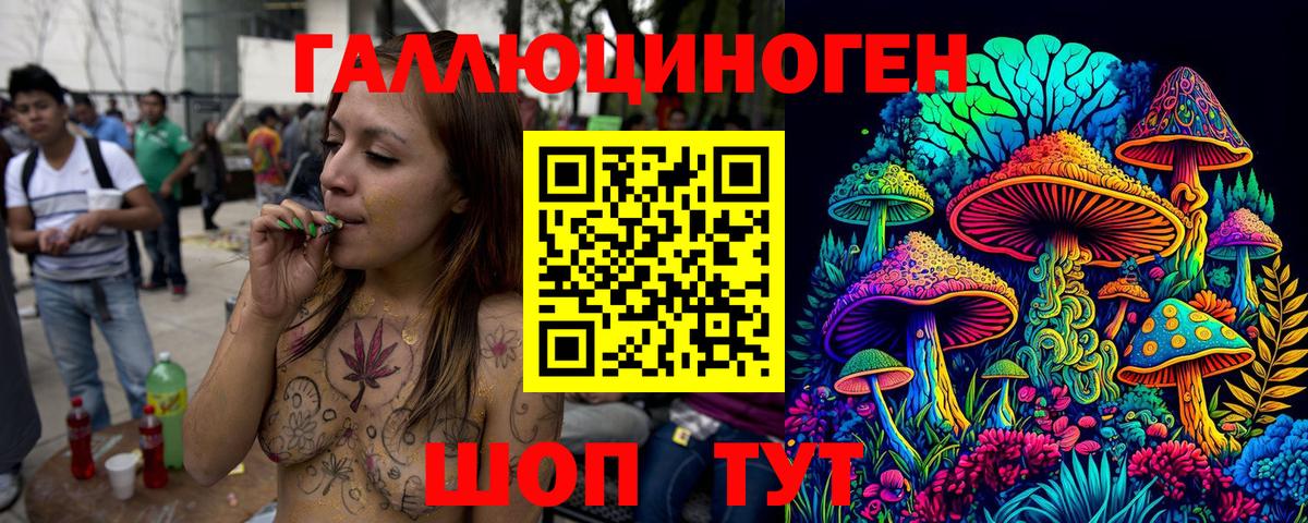 Псилоцибиновые грибы Psilocybe  Раменское  Псилоцибиновые грибы Psilocybe 